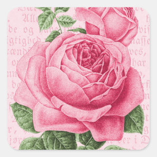 Rosa Rosen floral vintage Quadratischer Aufkleber