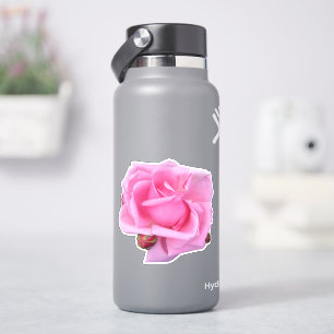 Rosa Rosen-Foto Aufkleber
