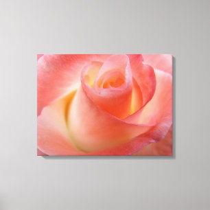 Rosa-Rosen-Fotografie Leinwand Kunst Drucke Floral