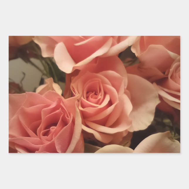 Rosa Rosen Geschenkpapier Set (Vorderseite)
