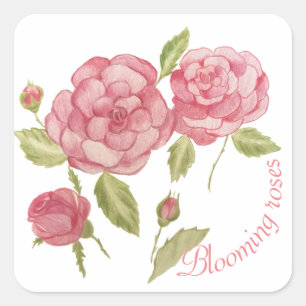 Rosa Rosen Hand zeichnend Bleistift T - Shirt Cush Quadratischer Aufkleber