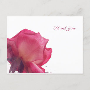 Rosa Rosen. Illustration Feiertagspostkarte