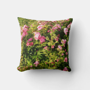 Rosa Rosen in Blüte Kissen