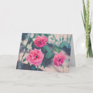 Rosa Rosen Karte