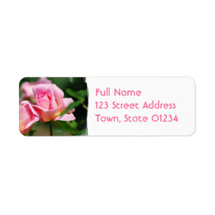 Rosa Rosen-Knospemailings-Aufkleber