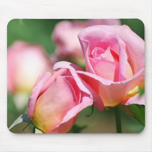 Rosa Rosen-Knospen-Mausunterlage Mousepad (Vorne)