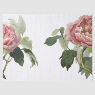 Rosa Rosen-Kram-Zeitschriften-Element-Blatt Seidenpapier