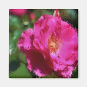 Rosa Rosen-Kreide, die Blumen-Magneten zeichnet Magnet