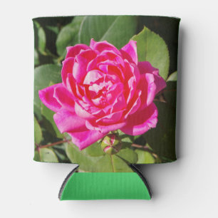Rosa Rosen Kühler Dosenkühler
