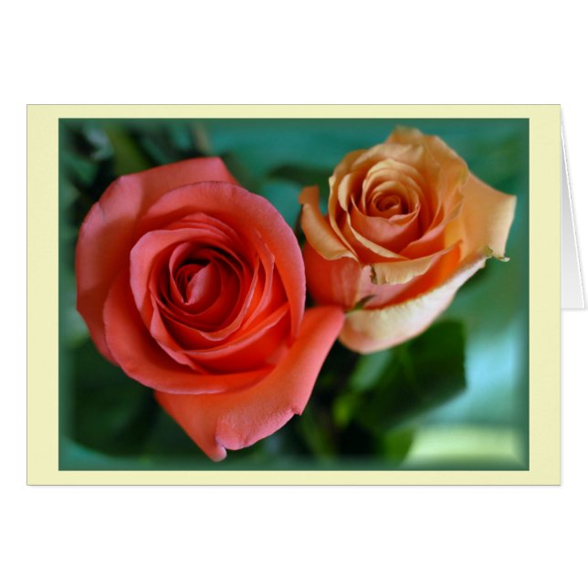 "Rosa Rosen" (Leere) (Vorderseite (Horizontal))