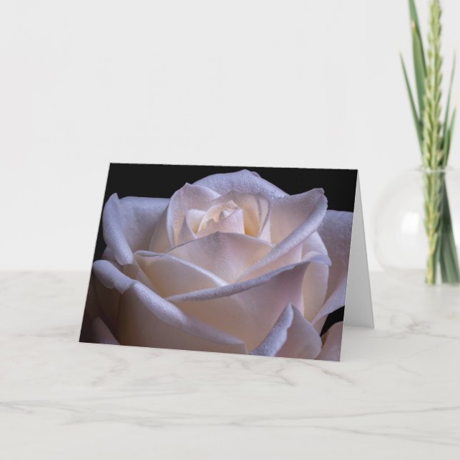 Rosa Rosen mit Taub Karte (Vorderseite)