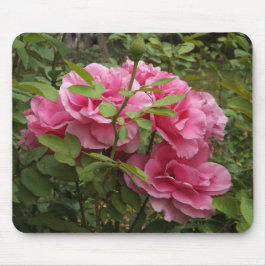 Rosa Rosen Mousepad