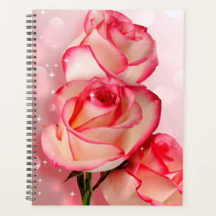 Rosa Rosen Planer