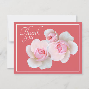Rosa Rosen rosa Hintergrund Danke Postkarte
