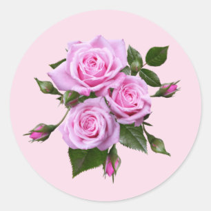 Rosa Rosen Rundkleber Umschlag Aufkleber
