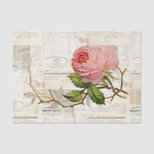 Rosa Rosen-Vintages französisches Seidenpapier