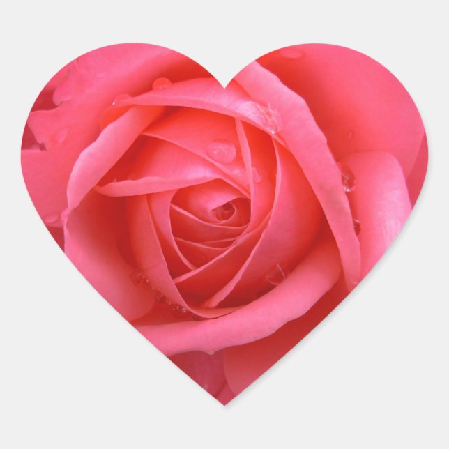 Rosa Rosenaufkleber Pink Rose Geschenke Keepake Herz-Aufkleber (Vorderseite)