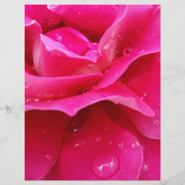 Rosa Rosenblätter (Vorderseite)