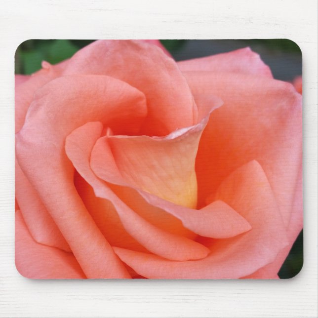 Rosa Rosenblätter Mousepad (Vorne)