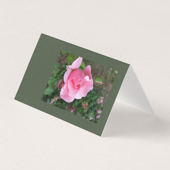 Rosa Rosenblüte (Vorderseite)