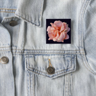 Rosa Rosenblüte Button
