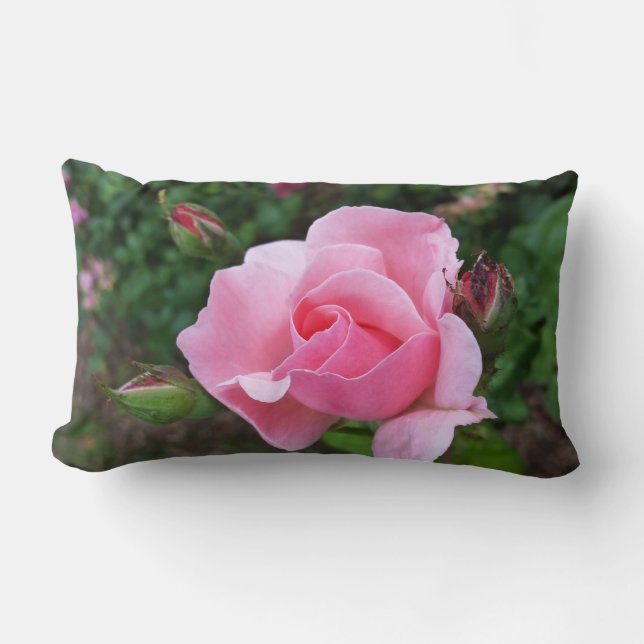 Rosa Rosenblüte Lendenkissen (Vorderseite)