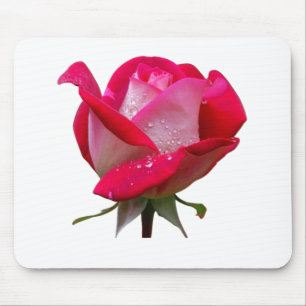rosa Rosenblüte mit Wassertropfen floral vintage Mousepad