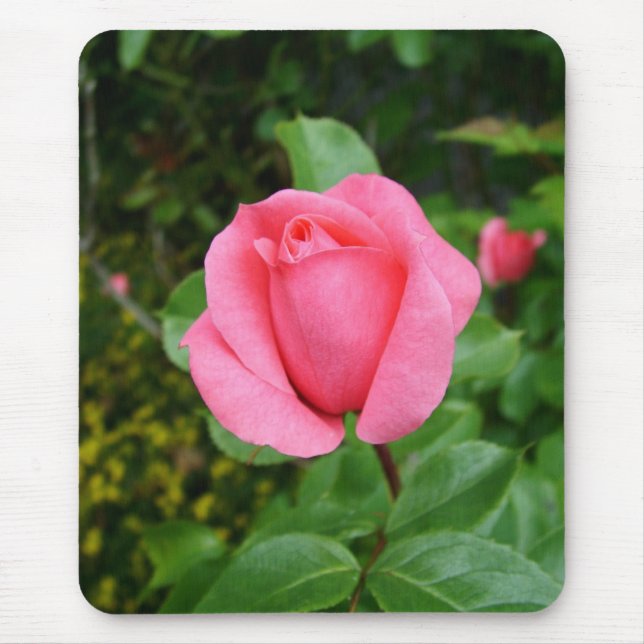rosa Rosenblüte Mousepad (Vorne)