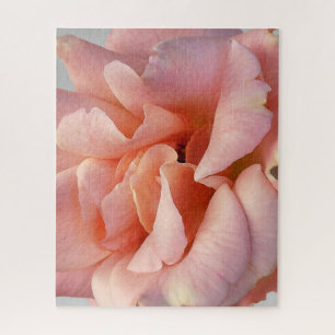Rosa Rosenblüte Puzzle