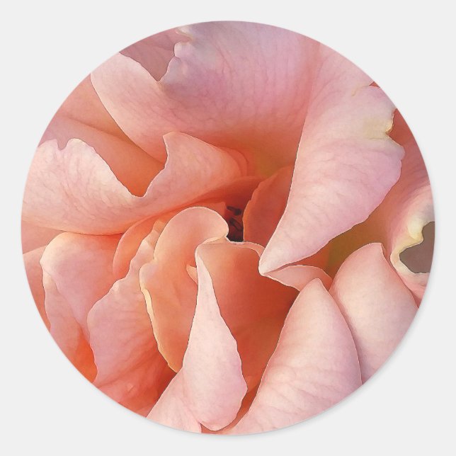 Rosa Rosenblüte Runder Aufkleber (Vorderseite)