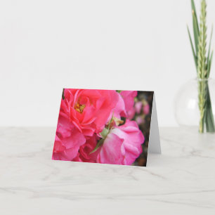 Rosa Rosenblüten leere Grußkarte Dankeskarte