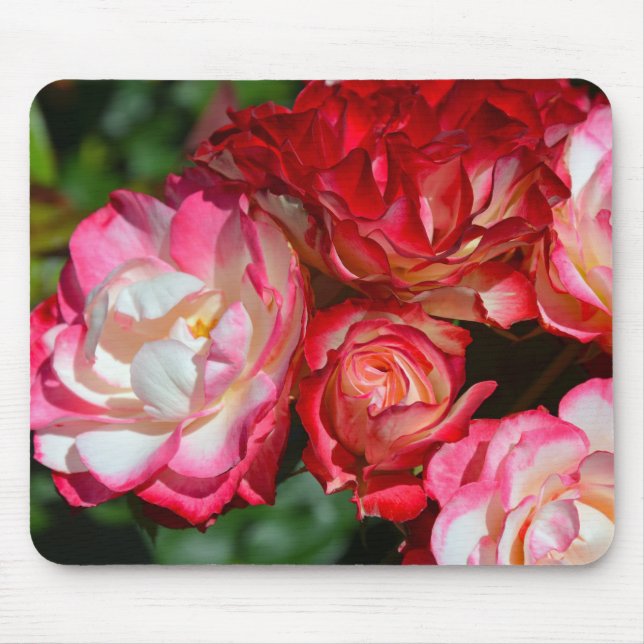 Rosa Rosenblüten Mousepad (Vorne)