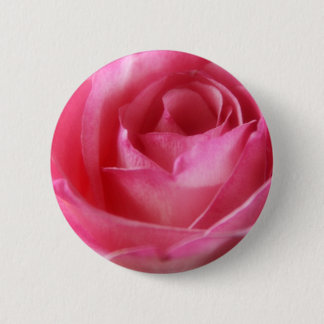 Rosa Rosenknopf Button