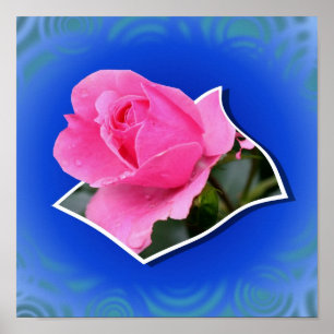 Rosa Rosenknospe-Blume ohne Grenzen Poster