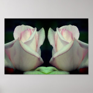 Rosa Rosenknospe Blumen Mirror Abstrakt Poster