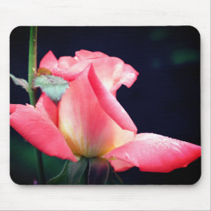 Rosa Rosenknospe Delight Blume Mousepad