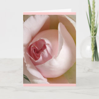 Rosa Rosenknospe-Gruß-Karte Karte