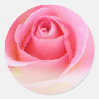 Rosa Rosenknospe Runder Aufkleber