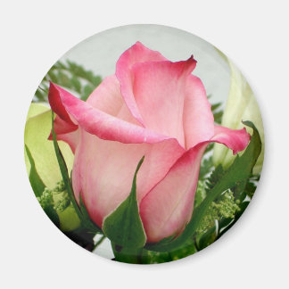 Rosa Rosenmagnet Magnet