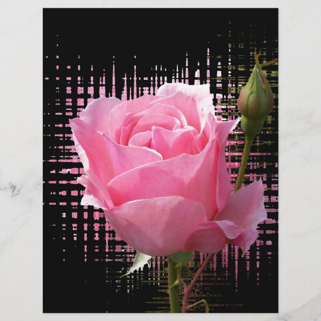 Rosa Rosenspritze (Vorderseite)