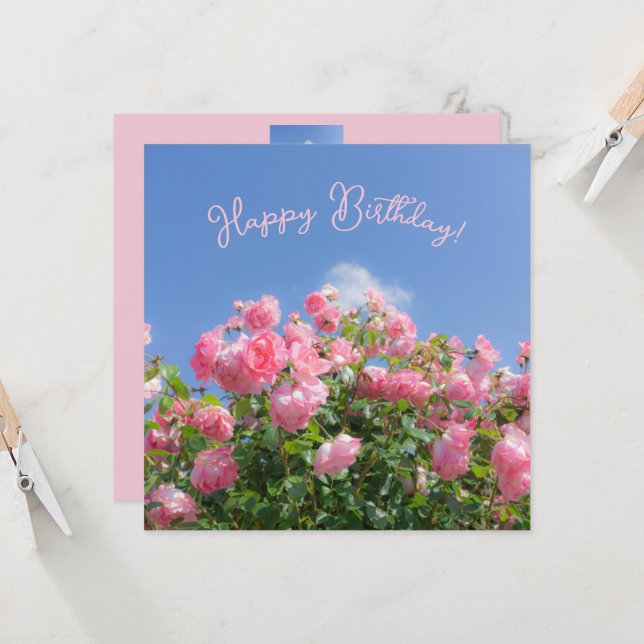 Rosa Rosenstrauch unter blauem Himmel, Brauch (Vorderseite/Rückseite Beispiel)