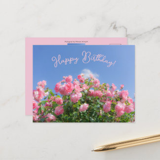 Rosa Rosenstrauch unter blauem Himmel, individuell Postkarte