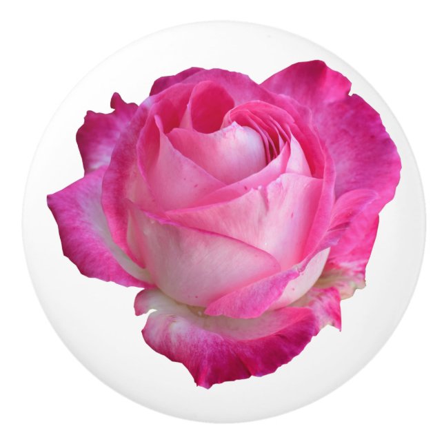 Rosa Rosenzieher Kabinett Blumenknochen Pull Keramikknauf (Vorderseite)