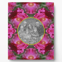 Rosa Roses Blütenblume Abstrakt hinzufügen Foto