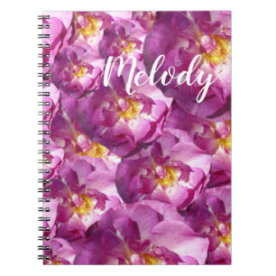 Rosa Roses Foto Foto Notebook Notizblock
