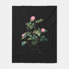 Rosa Rubiginos Fleecedecke