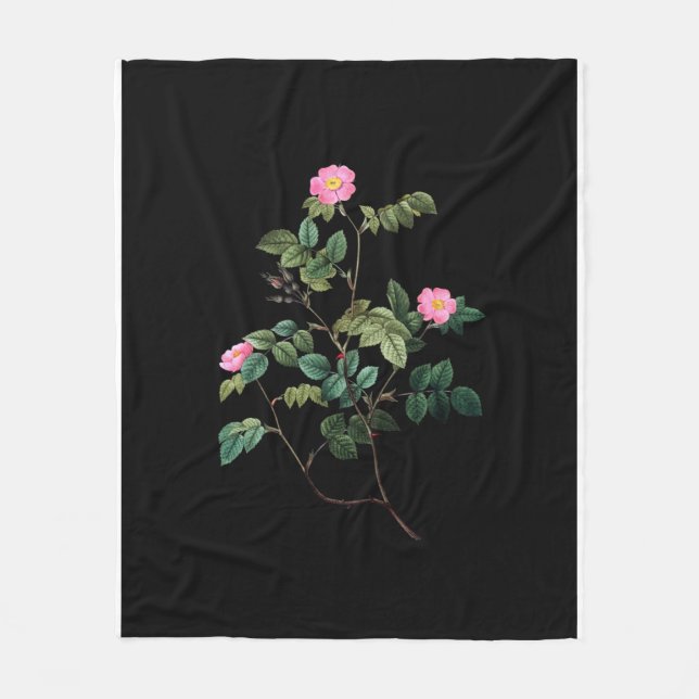 Rosa Rubiginos Fleecedecke (Vorderseite)