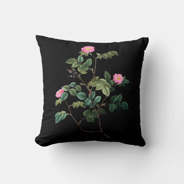 Rosa Rubiginosa Throw Kissen (Vorderseite)