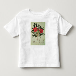 Rosa rugosa, 'von der Flora Japonica Kleinkind T-shirt