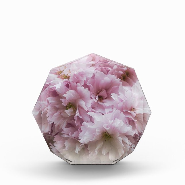 Rosa Rüschen Fotoblock (Vorderseite)